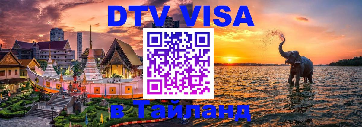 Оформление DTV визы под ключ: стоимость и тарифы, только загранпаспорт - 20.11.2025 